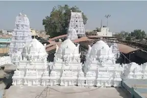 VHP accuses trustee of misusing temple lands for personal gain