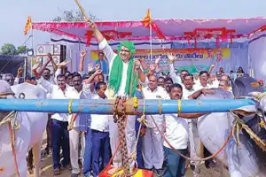 Bullock cart race between states captivates everyone