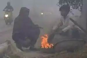 Cold Wave Persists in Telangana with Orange Alert in Several Districts