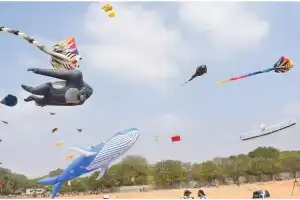 Colorful kites fill city skies during Sankranti