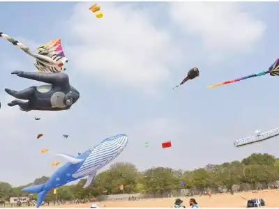 Colorful kites fill city skies during Sankranti