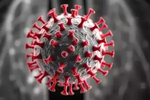 Doctors address concerns about HMPV, urge public to stay calm