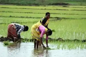 Farmers in Beela Village Push for More Rythu Bharosa Support
