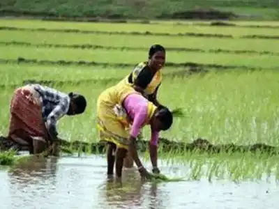 Farmers in Beela Village Push for More Rythu Bharosa Support
