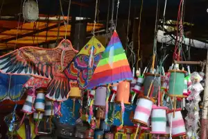 Fewer kites to fill the skies this Sankranti festival
