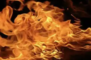Fire in Hyderabad’s Jeedimetla Industrial Area Causes Panic