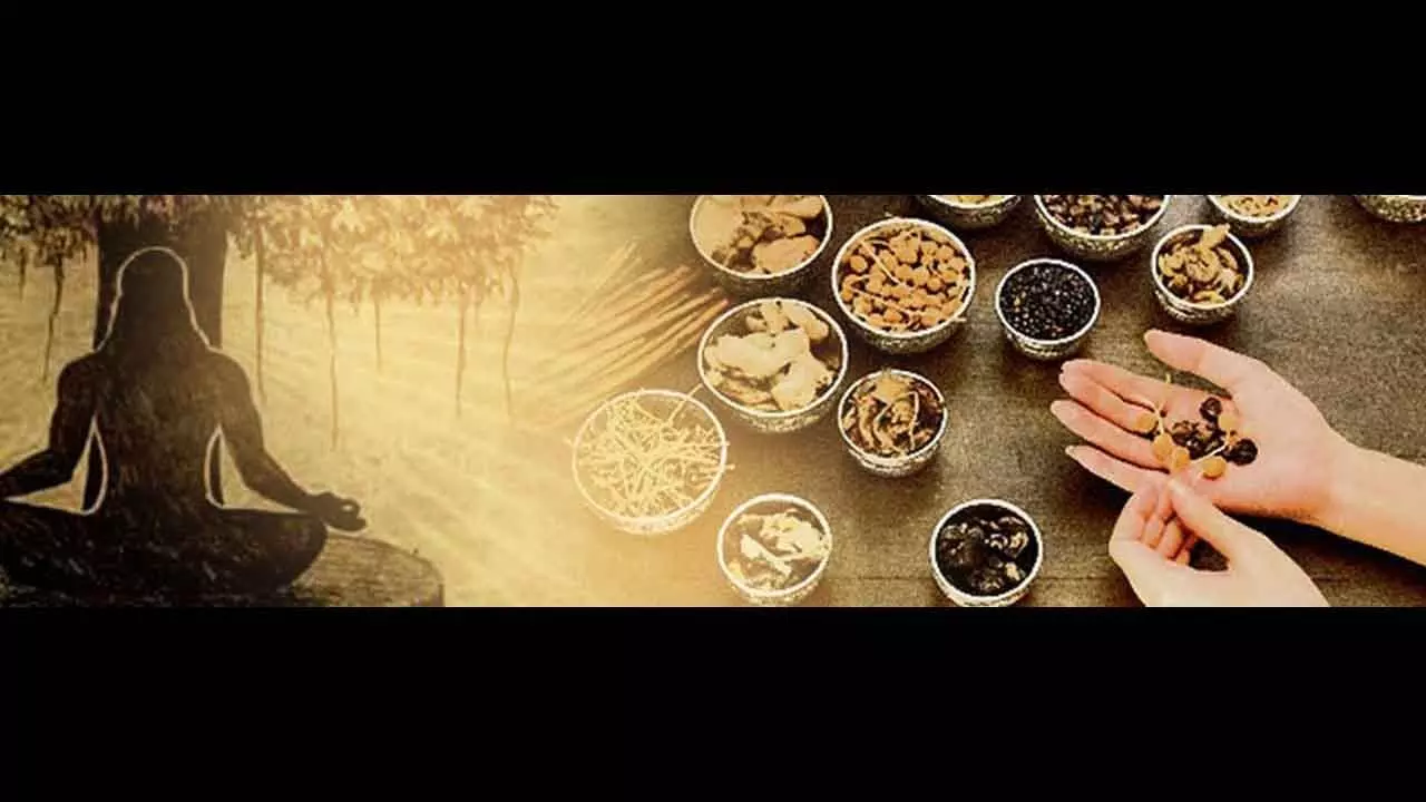 Future of inter, multi, and transdisciplinary studies remains uncertain