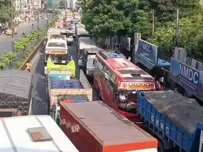 Hyderabad: City flyovers closed to revellers