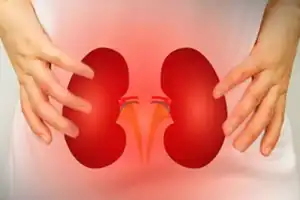 Hyderabad: Saroornagar Hospital Shut Down for Illegal Kidney Transplants