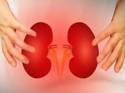 Hyderabad: Saroornagar Hospital Shut Down for Illegal Kidney Transplants