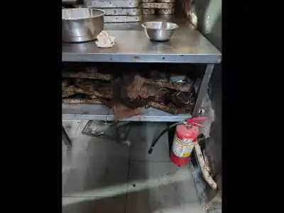 Hygiene Issues Discovered in Secunderabad and Alwal Cake Shops