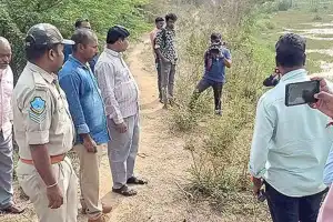 Leopard sightings not confirmed on university campus, says PJTGAU