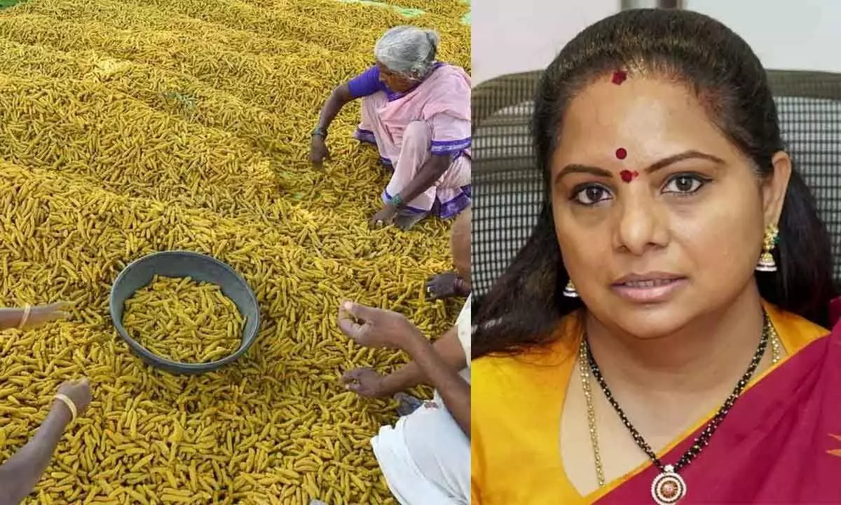 MLC Kavitha Praises Turmeric Board Launch, Questions Exclusion from Event
