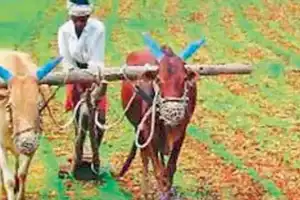 Rythu Bharosa 2025 benefits limited to Bhu Bharati-registered farmers