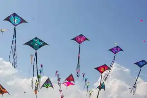 Sankranti rules: Kite-flying banned on roads, DJ music restricted in city