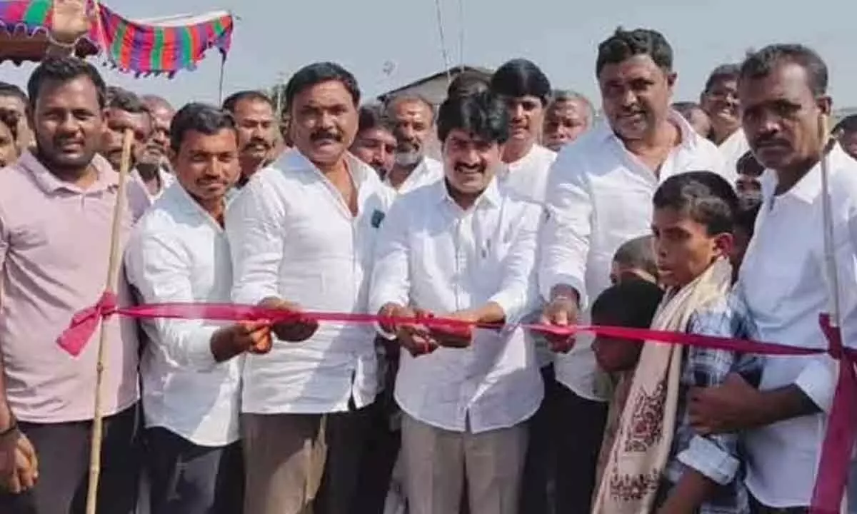 State-Level Volleyball Tournament Begins in Boravelli Village