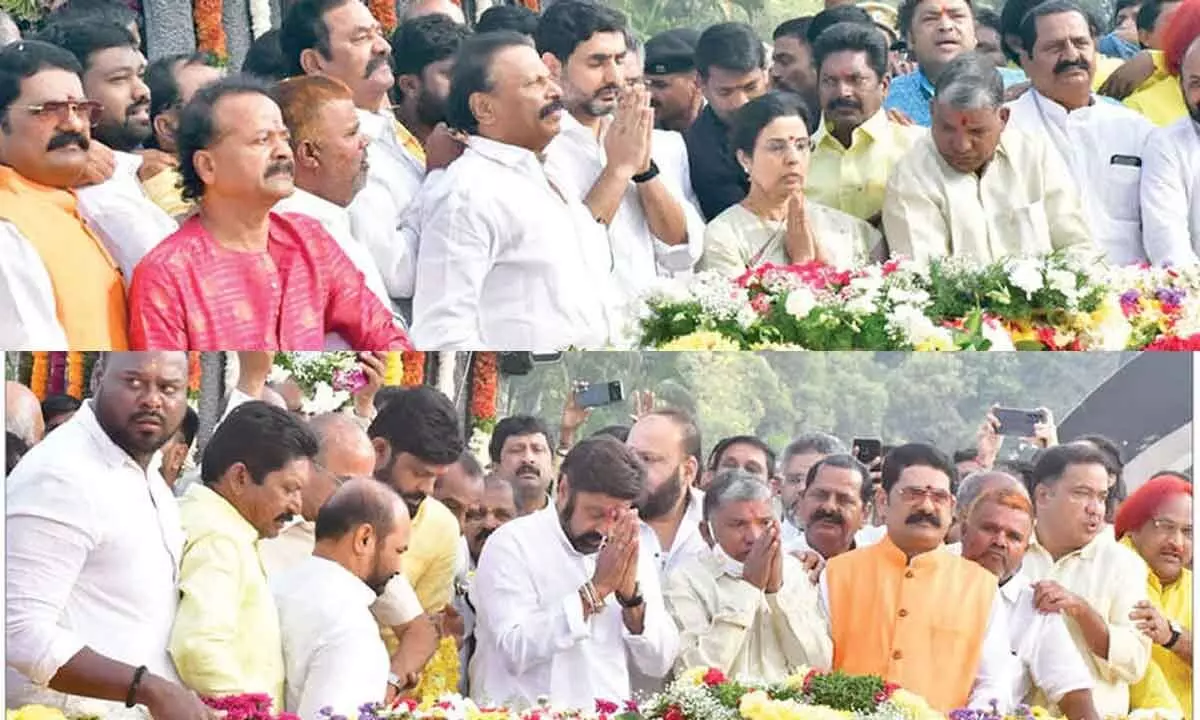 TDP plans a strategic move to revitalize its TG unit