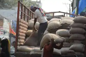 TG fine rice reaches border states
