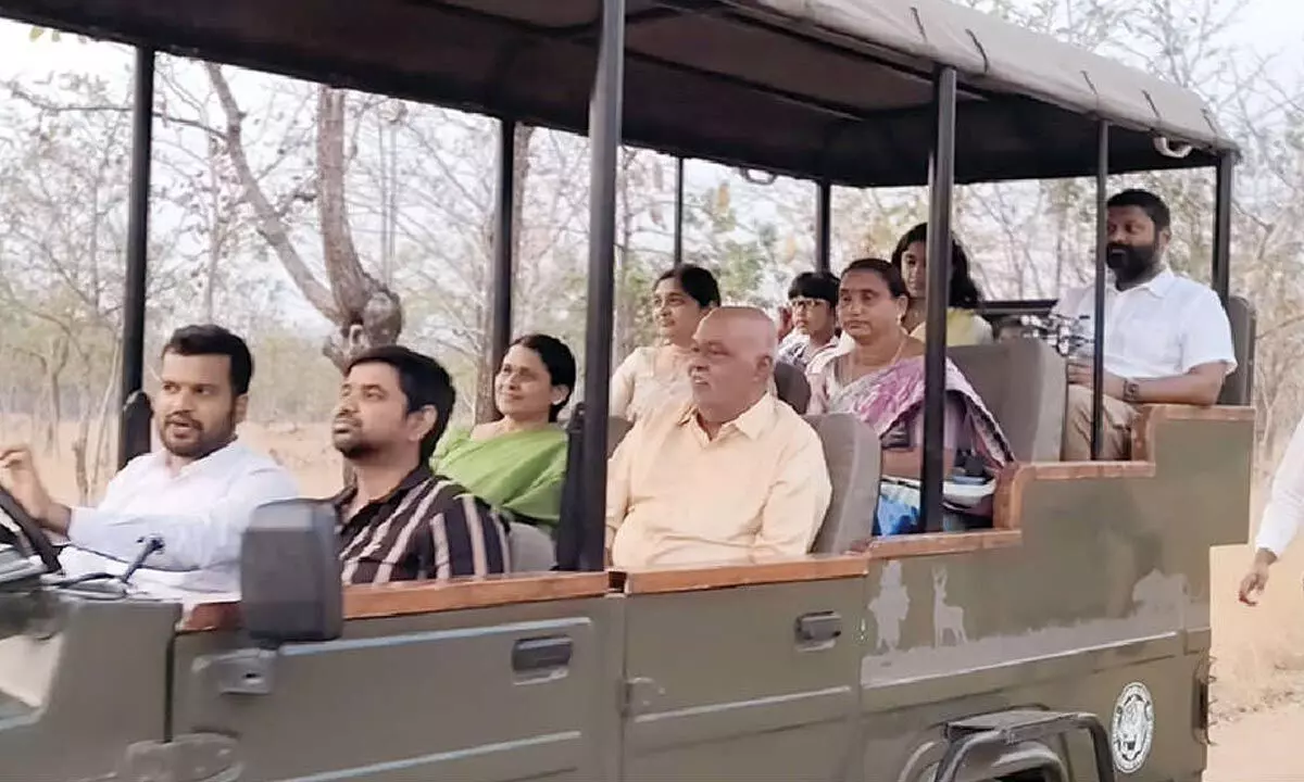 Tiger reserve attracts tourists for jungle safari