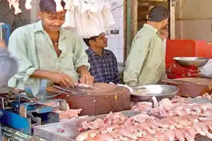 Bird flu does not affect chicken sales