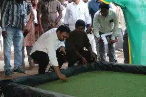 Collector reviews Azolla cultivation