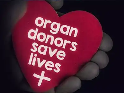 Doctor’s Tragic Death Becomes a Lifesaving Gift for Five Patients