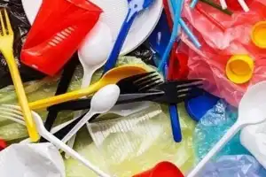 FGG calls on CM to ban single-use plastic in the state