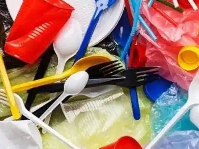 FGG calls on CM to ban single-use plastic in the state