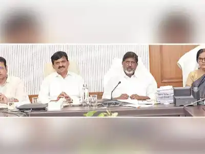 Government to offer 25% subsidy on LRS until March 31