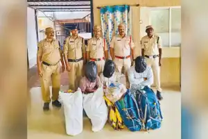 Hyderabad police arrest three, seize ganja worth Rs 18 lakh