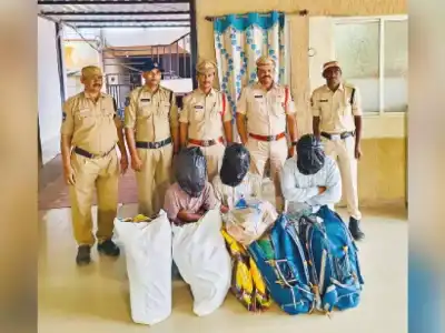 Hyderabad police arrest three, seize ganja worth Rs 18 lakh
