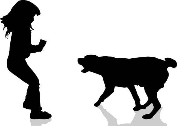 Four-Year-Old Child Severely Injured in Stray Dog Attack in Hyderabad