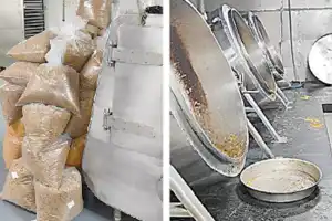 IndiGo passengers alert: Live roaches discovered at airline food supplier