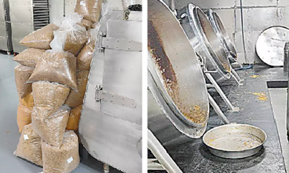 IndiGo passengers alert: Live roaches discovered at airline food supplier