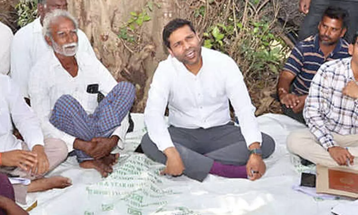 Install a solar fence to enhance dragon fruit growth