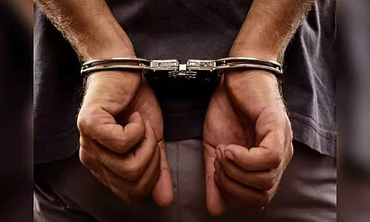 Lookout Notices Issued for Key Accused in Falcon ₹850 Crore Fraud Case