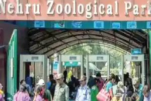 Nehru Zoo ticket prices to increase from March 1