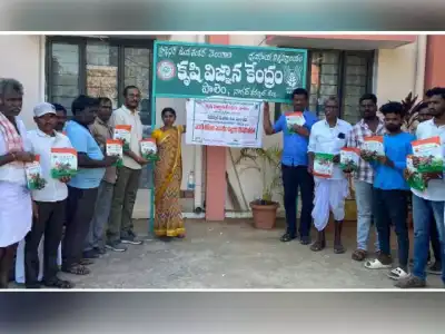 Program held on home vegetable gardening
