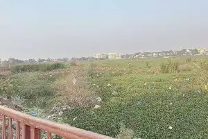 Residents protest against excessive trash dumping in RK Puram Lake