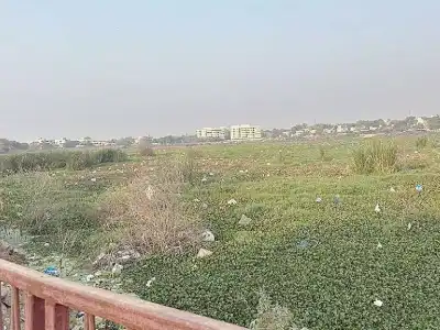 Residents protest against excessive trash dumping in RK Puram Lake