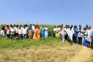 Scientists Organize Awareness Conference for Farmers on High-Yield Maize Crop