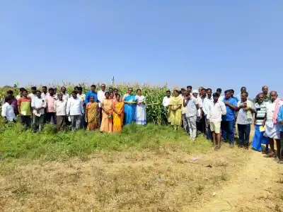Scientists Organize Awareness Conference for Farmers on High-Yield Maize Crop