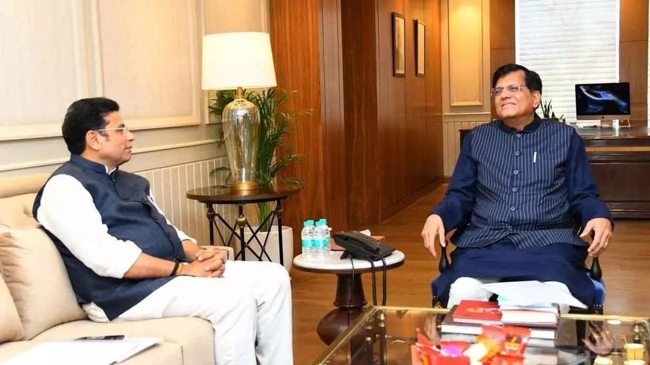 Sridhar Babu seeks central support for two mega leather parks in the state