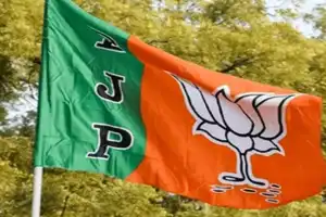 State BJP leaders criticize political blame game over Delhi stampede
