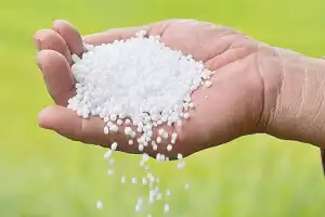 State government requests Centre to boost Urea supply