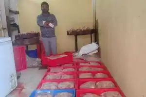Task Force seizes 600 kg of harmful chicken waste, arrests 2