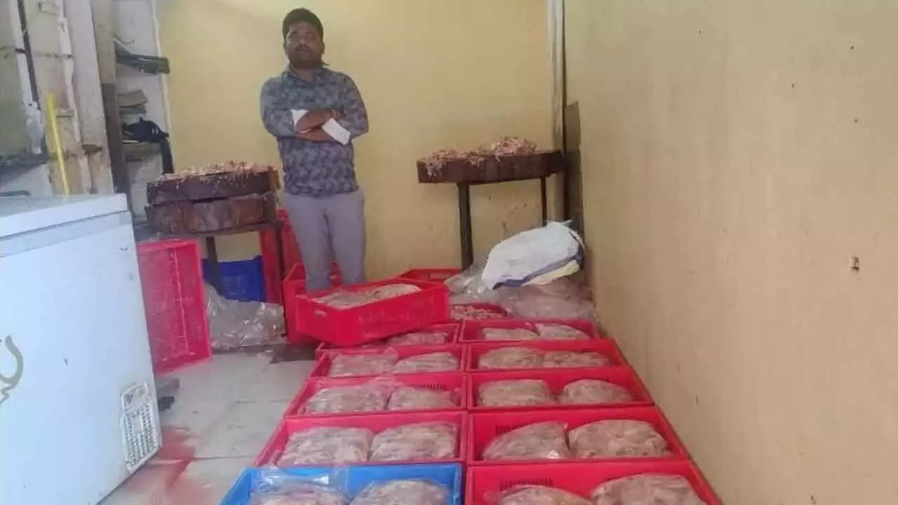 Task Force seizes 600 kg of harmful chicken waste, arrests 2