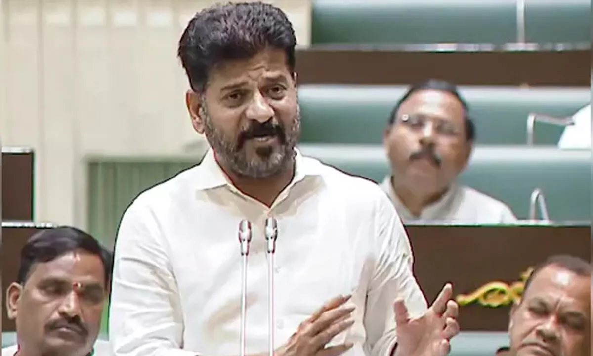 Telangana Assembly Urges Central Government to Adopt State’s Household Survey