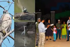 Telangana Forest Development Corporation to Organize Bird Walks in Vikarabad and Gajwel Forests