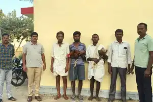 Telkapally Police Arrest Four in Cockfight Raid